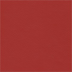 Symphony Classic Tandoor
